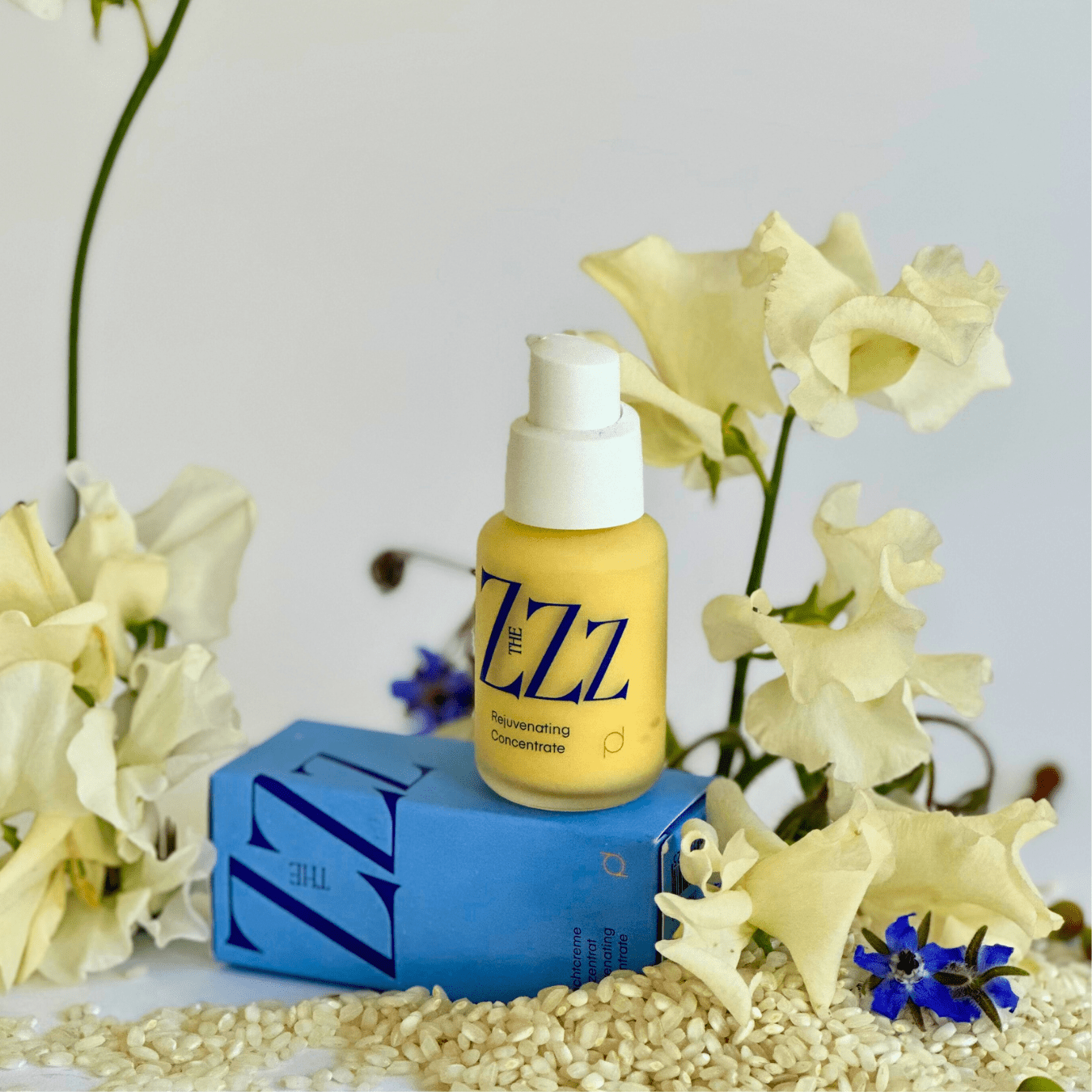 The Zzz - Rejuvenating Concentrate - Areum Labs